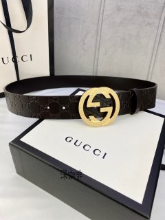 Gucci Classic New Belt 2154