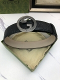 Gucci Classic New Belt 2215