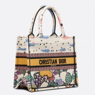 Dior Small Book Tote Bag In Ciel de Reve Embroidery