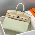 Hermes Birkin 25cm Bag In Vert Fizz Clemence Leather