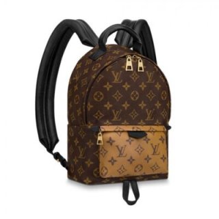 Replica Louis Vuitton Monogram Canvas Palm Springs Backpack Pm M43116