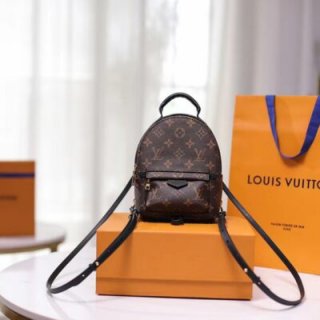 Replica Louis Vuitton M44873 Palm Springs Mini