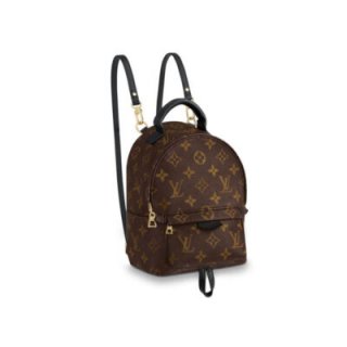 Replica Louis Vuitton Monogram Canvas Palm Springs Backpack Mini M41562