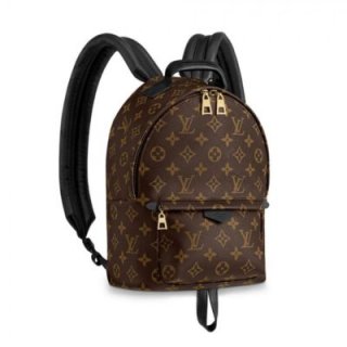 Replica Louis Vuitton Monogram Canvas Palm Springs Backpack Pm M41560